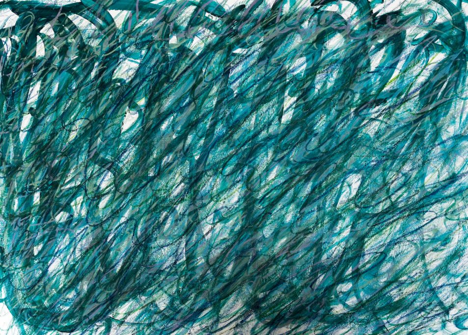 Everyone Stop Arguing, Its Sunny Outside