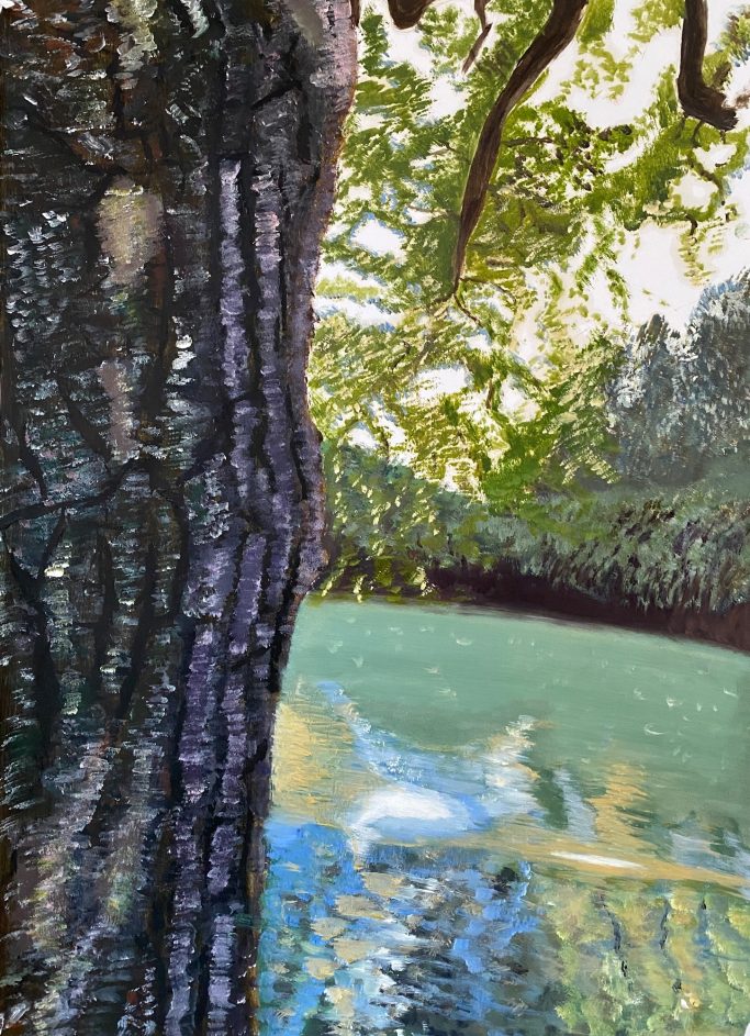 Where we set the frogs free